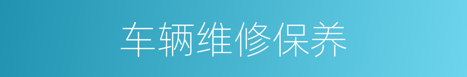 车辆维修保养的同义词