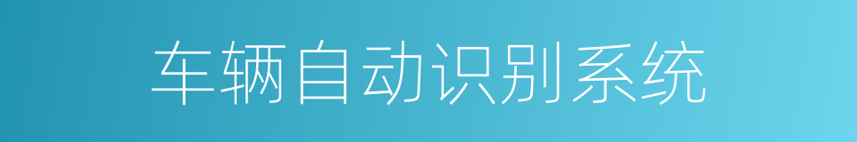 车辆自动识别系统的同义词
