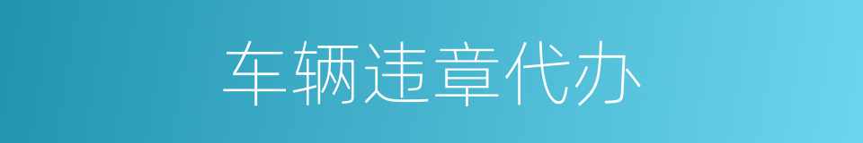 车辆违章代办的同义词