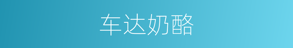 车达奶酪的同义词
