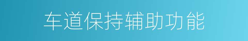 车道保持辅助功能的同义词