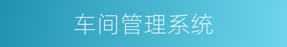车间管理系统的同义词