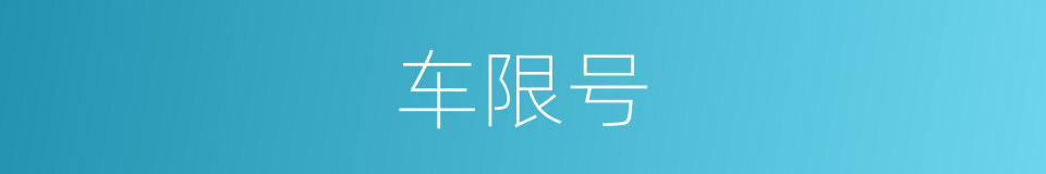 车限号的同义词