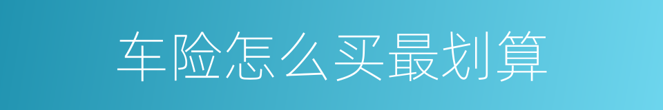 车险怎么买最划算的同义词