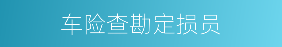 车险查勘定损员的同义词