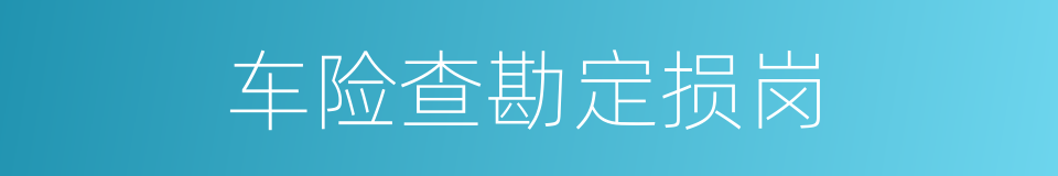 车险查勘定损岗的同义词