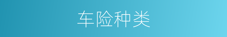 车险种类的同义词