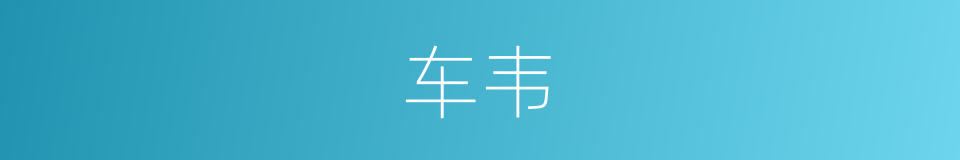 车韦的同义词