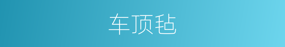 车顶毡的同义词