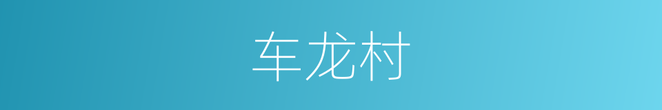 车龙村的同义词