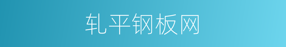 轧平钢板网的同义词