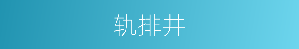 轨排井的同义词