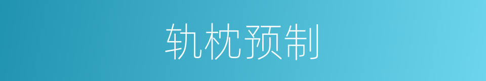 轨枕预制的同义词