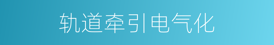 轨道牵引电气化的同义词