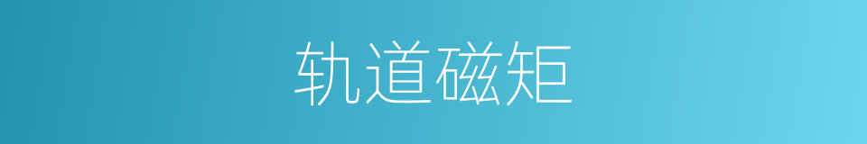 轨道磁矩的同义词