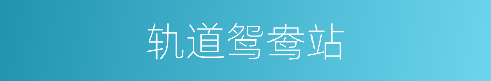 轨道鸳鸯站的同义词