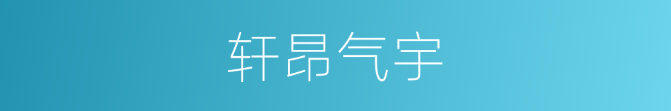 轩昂气宇的意思