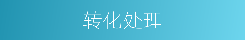 转化处理的同义词