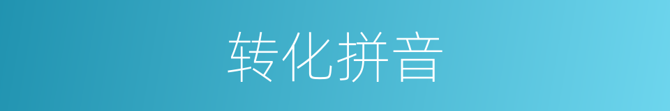 转化拼音的意思