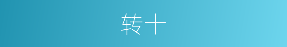 转十的同义词