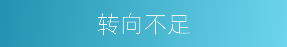 转向不足的同义词