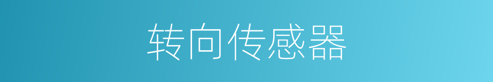 转向传感器的同义词