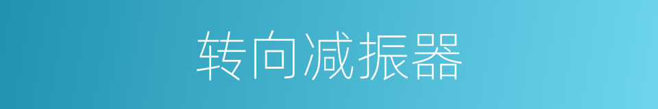 转向减振器的同义词