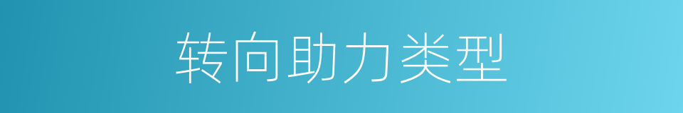 转向助力类型的同义词