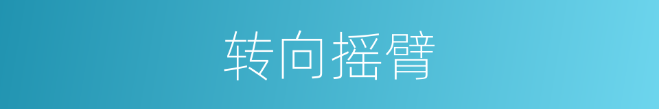 转向摇臂的同义词