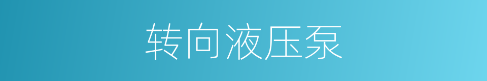 转向液压泵的同义词