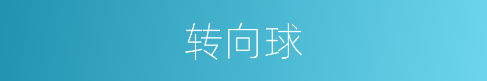 转向球的同义词