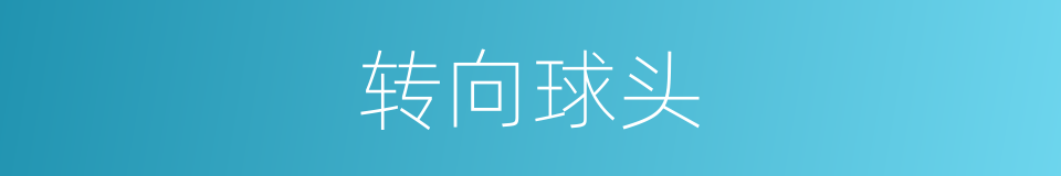 转向球头的同义词