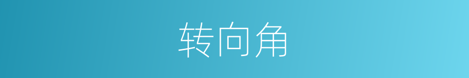 转向角的同义词