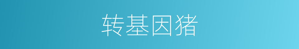 转基因猪的同义词