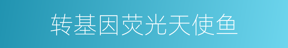 转基因荧光天使鱼的同义词