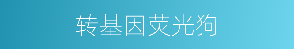 转基因荧光狗的同义词