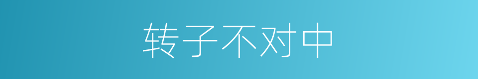 转子不对中的同义词