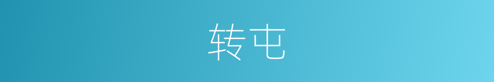 转屯的同义词