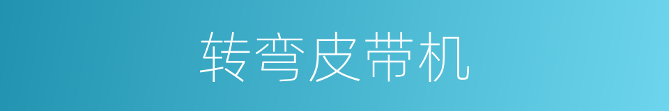 转弯皮带机的同义词