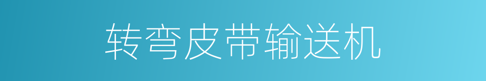转弯皮带输送机的同义词