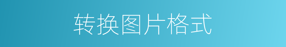转换图片格式的同义词