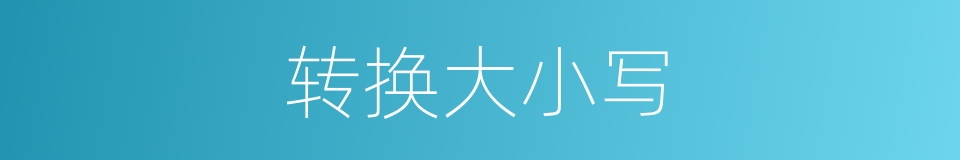 转换大小写的同义词