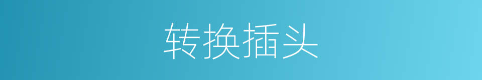 转换插头的意思
