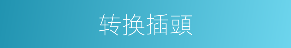 转换插頭的意思