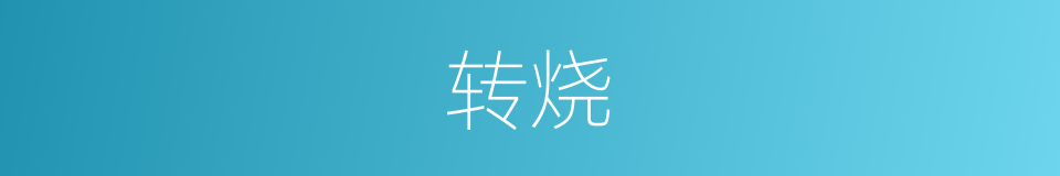 转烧的同义词