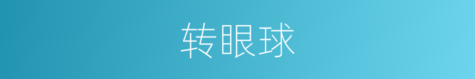 转眼球的同义词