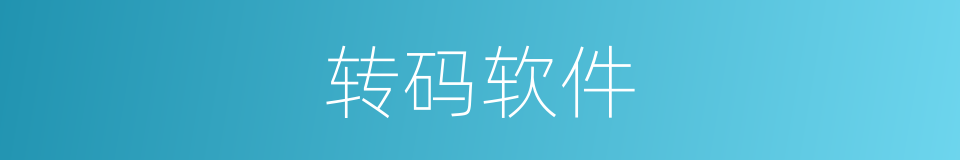 转码软件的同义词