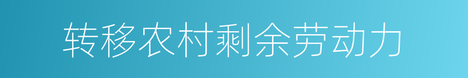 转移农村剩余劳动力的同义词