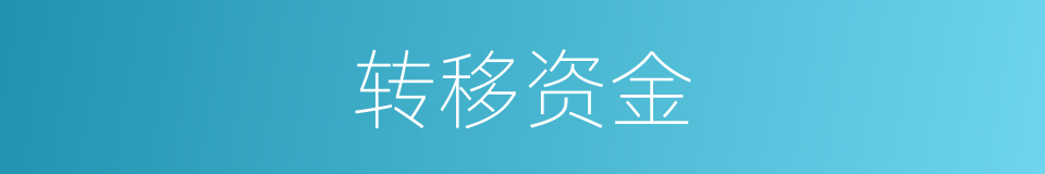 转移资金的同义词