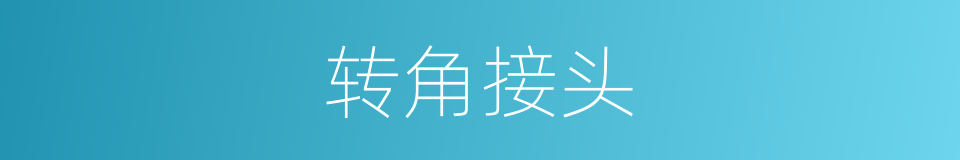 转角接头的同义词